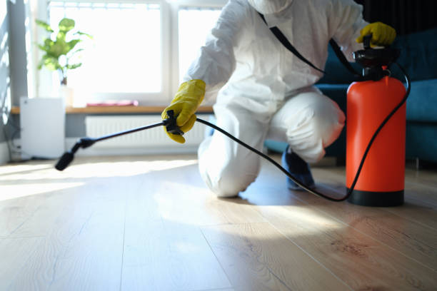 Reliable Hoarding Cleanup contractor in Atlanta, IL by Dulley Family Biohazard Services